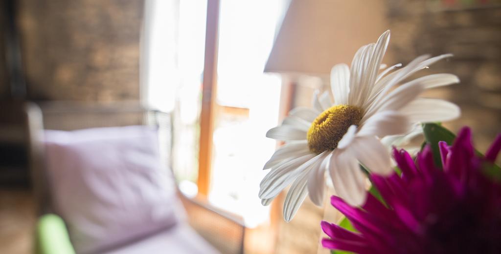 Casa Insol Guest House Denuy Bagian luar foto